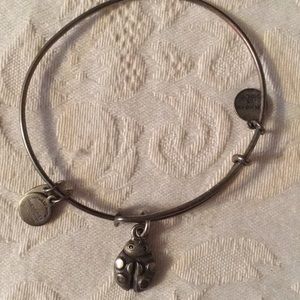 Lady Bug Alex and Ani